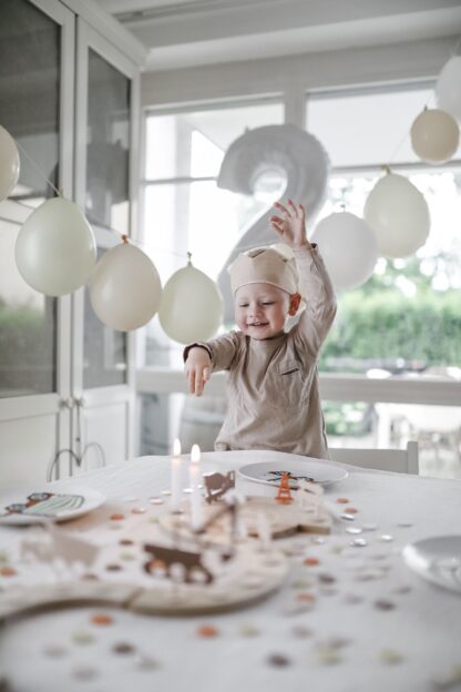 Mottoparty zum zweiten Geburtstag für einen Jungen.